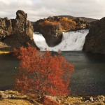 Hjalparfoss in fall colours